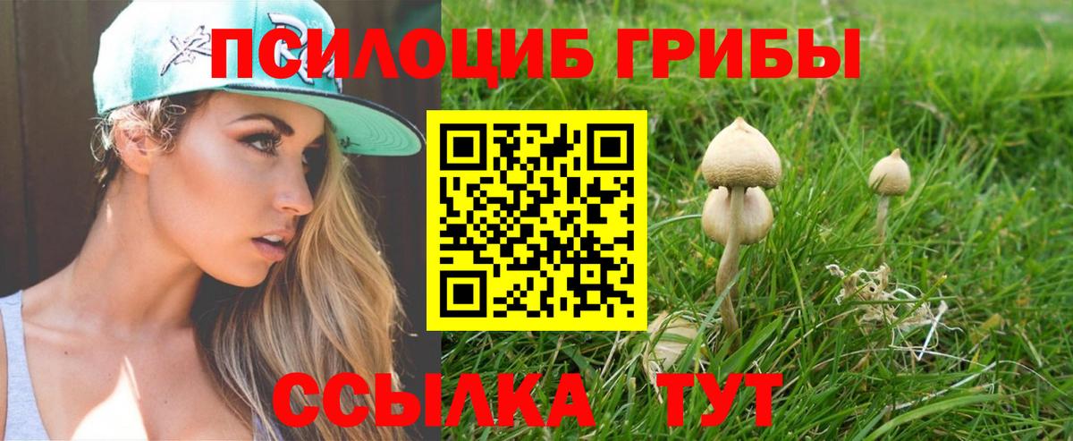 Галлюциногенные грибы Psilocybine cubensis Слободской
